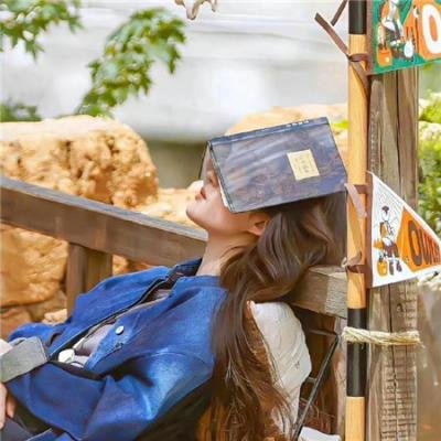 嘲笑的淑女