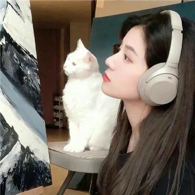 我的机器人同桌